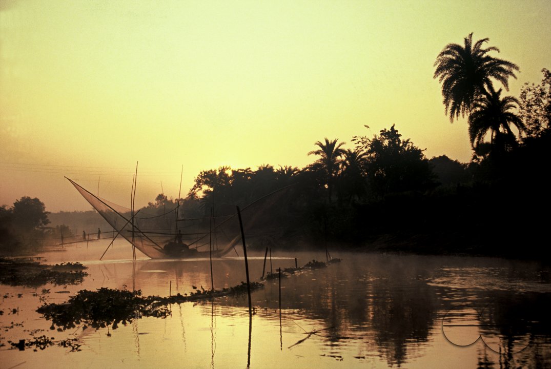 MWC003201