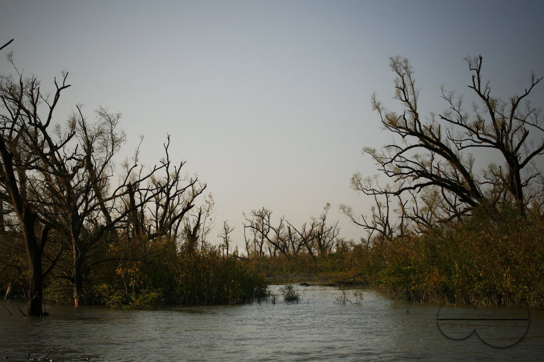 MWC004279