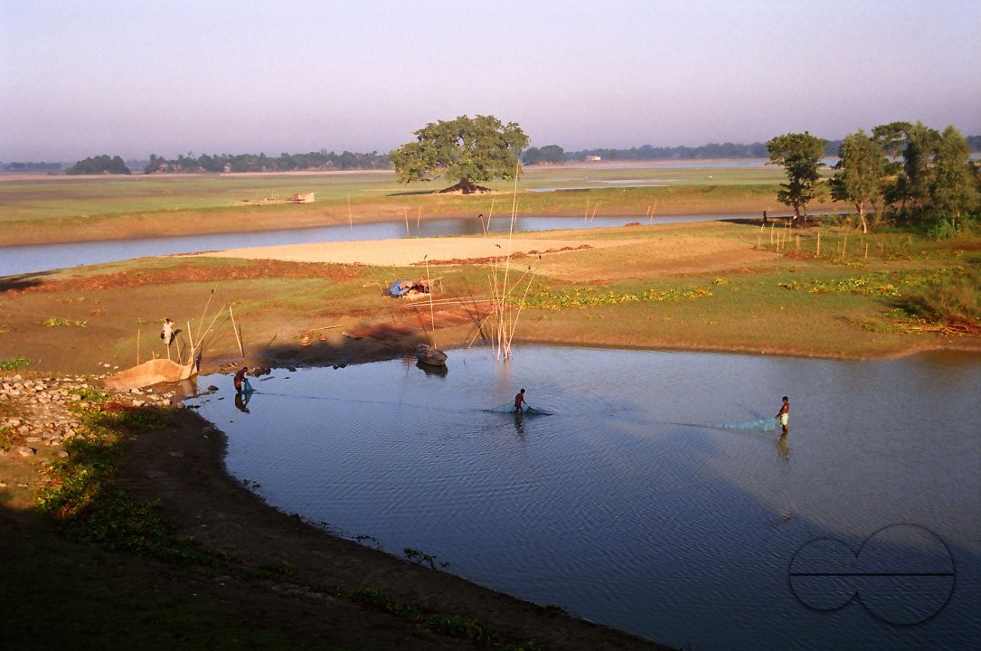 MWC011272