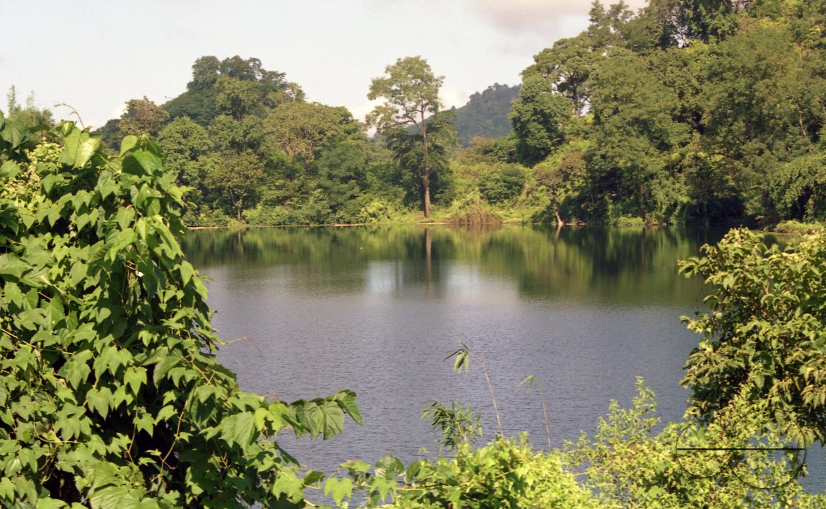 MWC003761