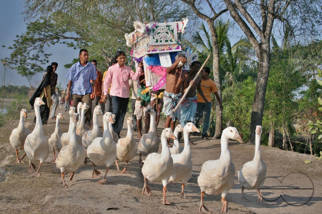 Palanquin_Bangladesh