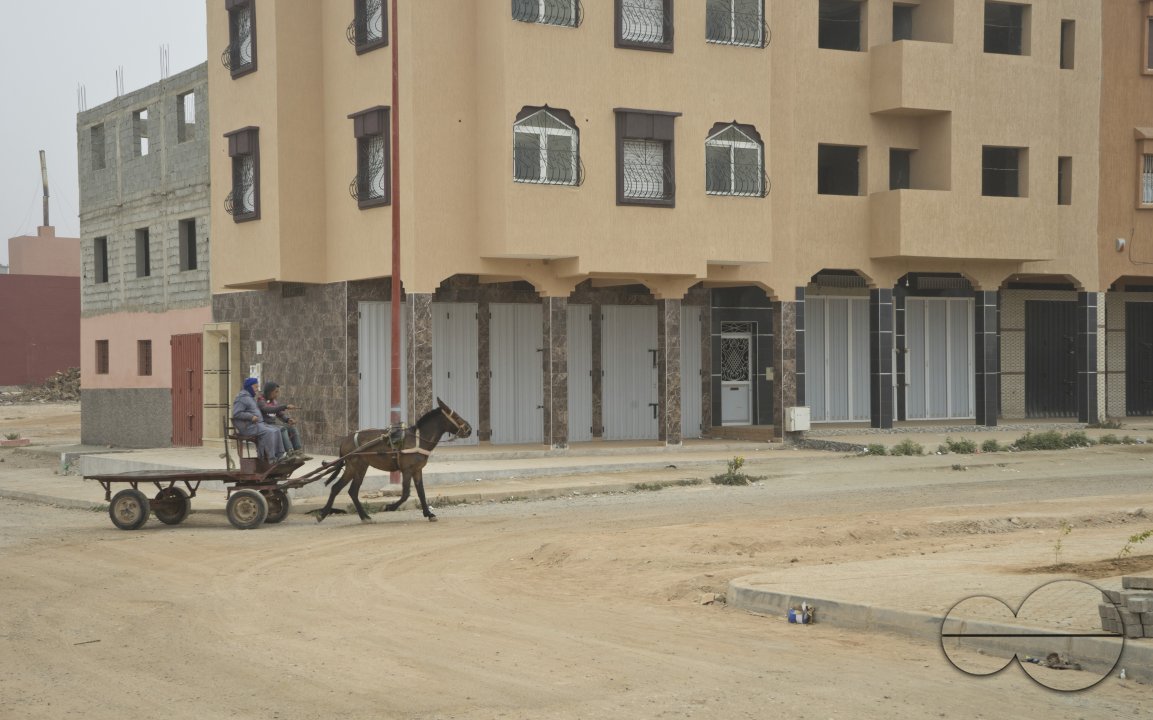 MWC033603