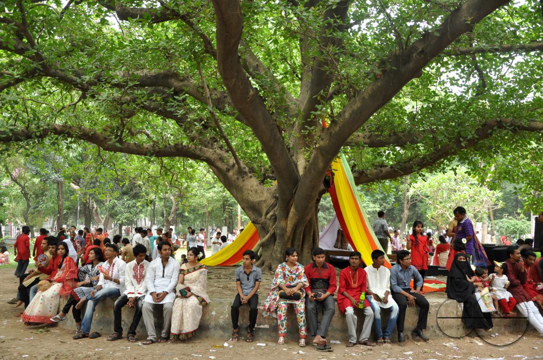 New year celebrations