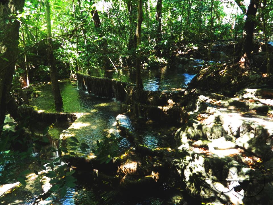 MWC052416