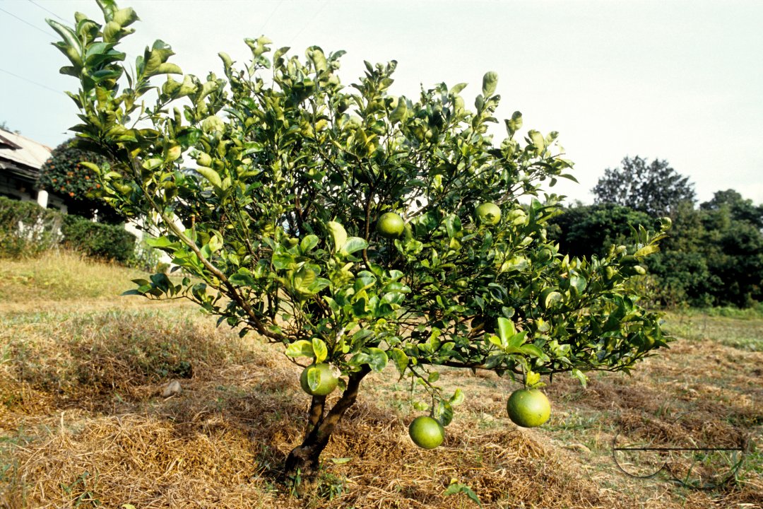 MWC02876