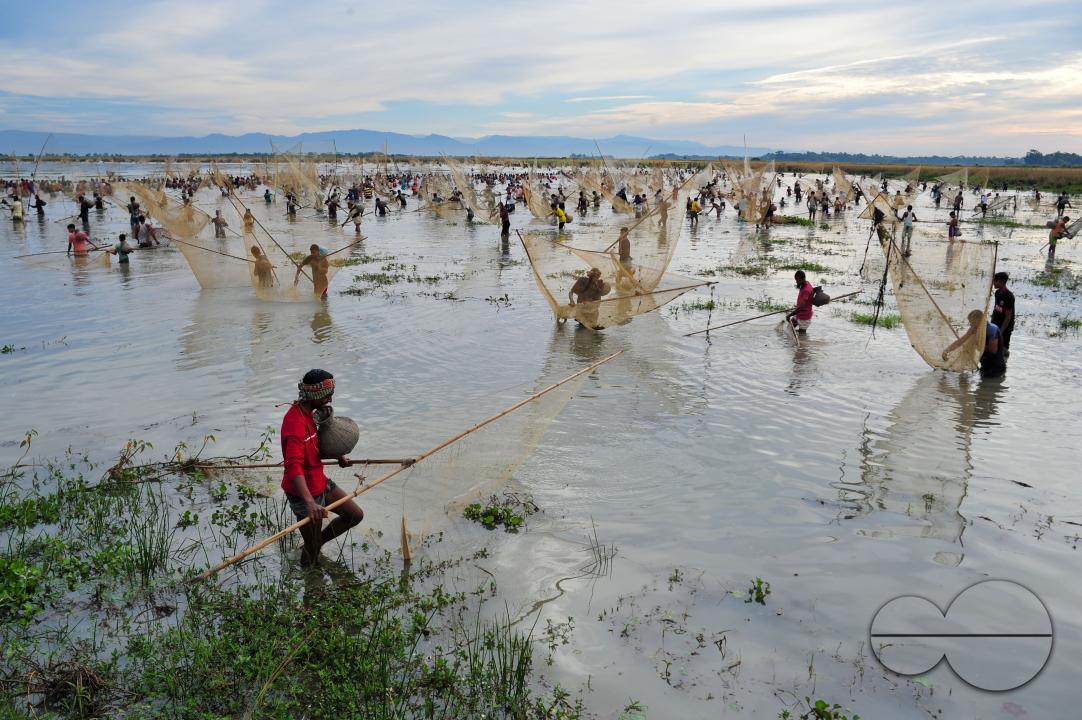 Rural people armed with Bamboo fish traps and nets take part in celebrating a 200-year winter fishing festival at the jofra beel of gasbari union of Kanaighat upazila of Sylhet, Bangladesh.