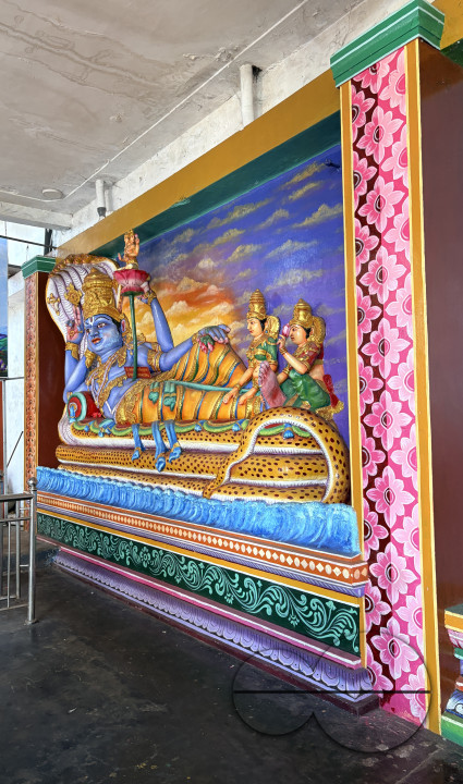 MW156495
