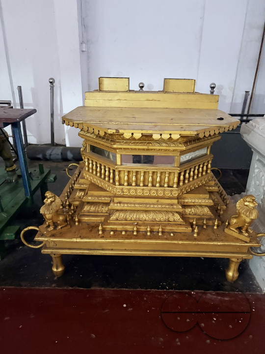 MW156517