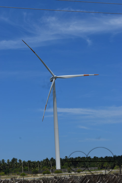 MW156546