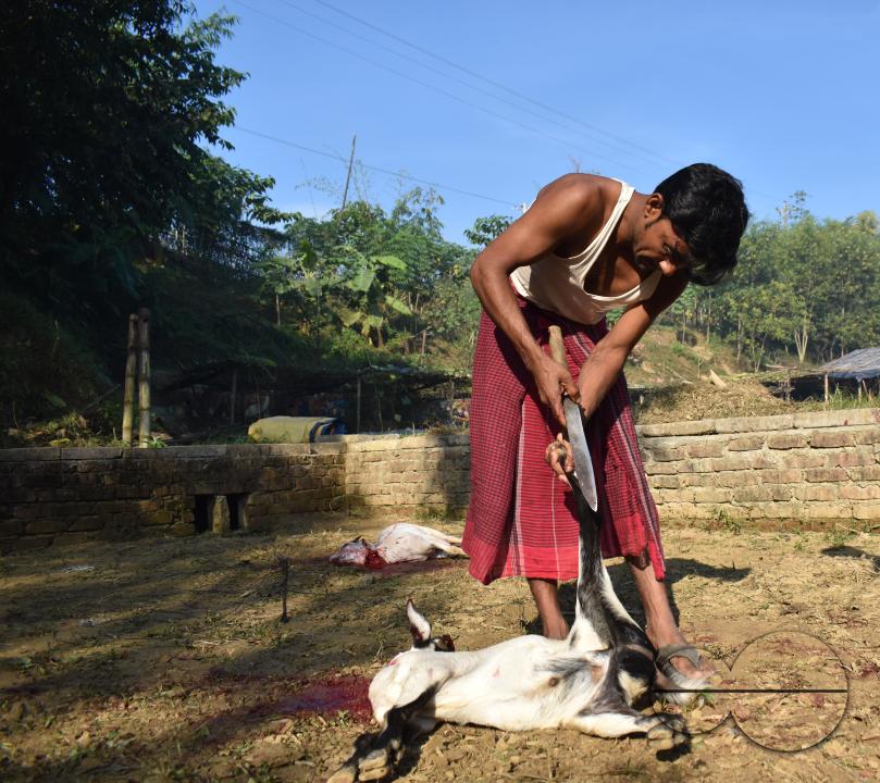 A man killing fowls for sale at the Balukhali refugee camp
