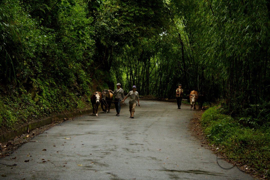 MWC03070