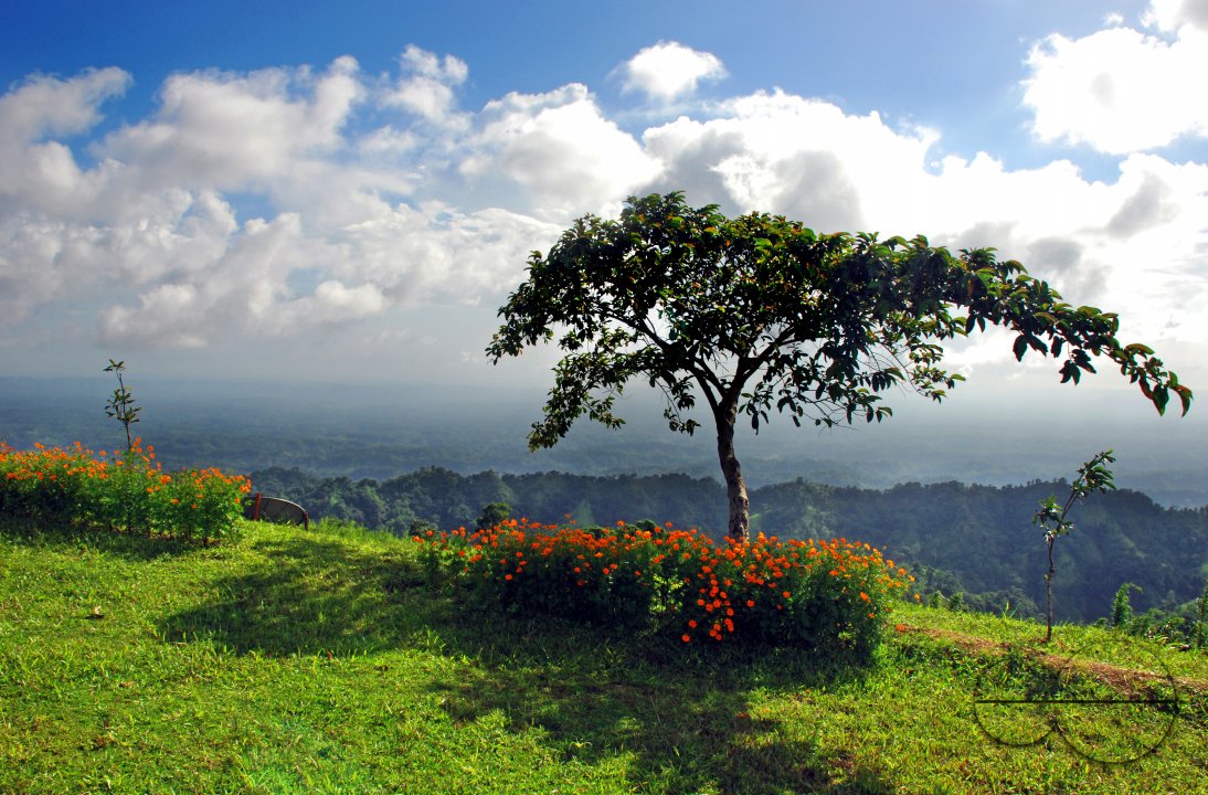 MWC004720