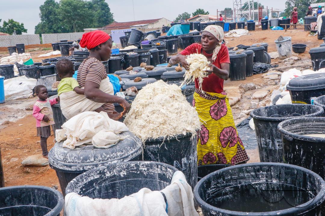 Females in Abuja are struggling and making strides in a local cassava processing factory under difficult conditions to produce flour as they wash out chaff from fermented cassava