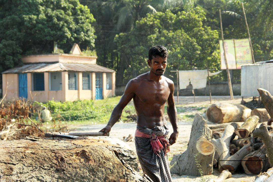 Men in Bangladesh cutting logs