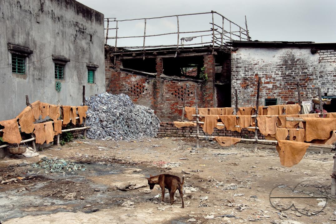 MWC059098