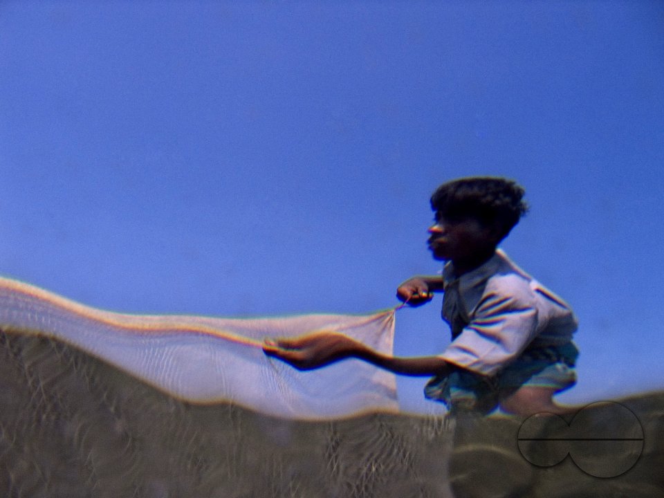 Looking through Fish-Eyes