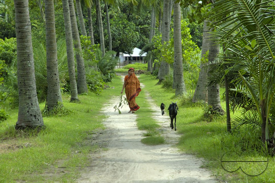 MWC010672