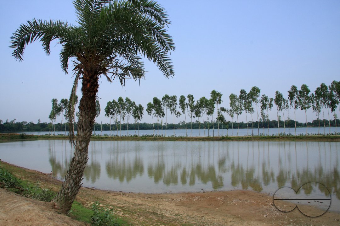 MWC020631