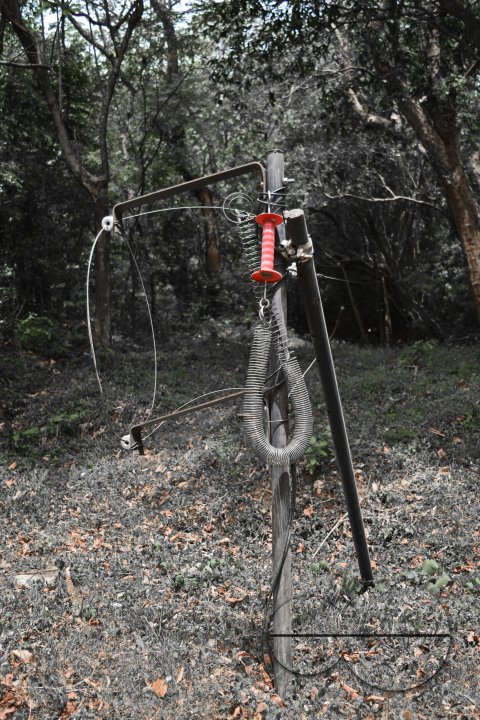 MWC031448