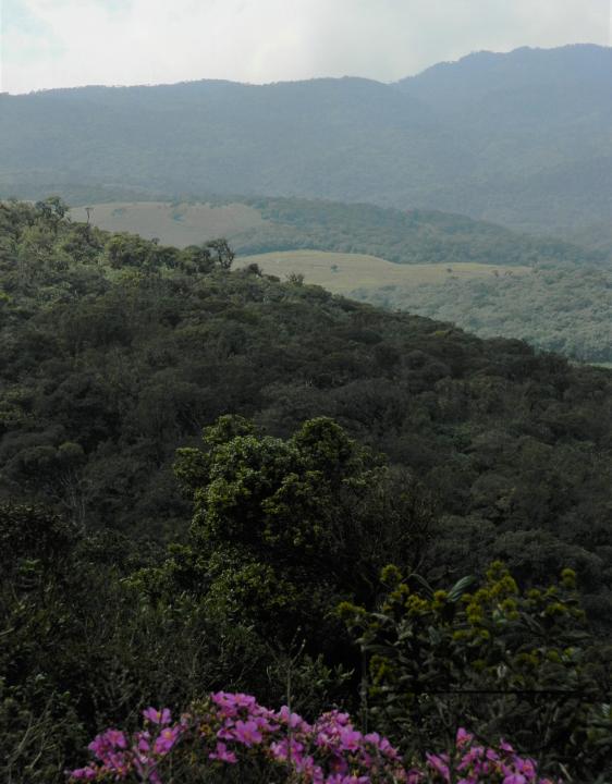 MWC052359