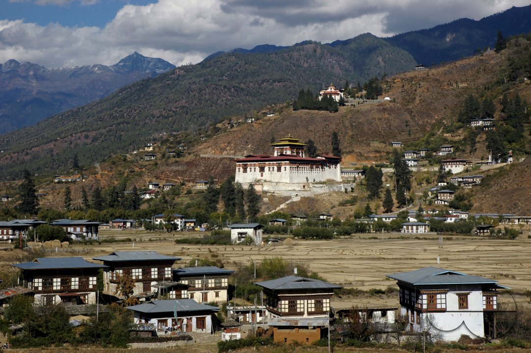 MWC018160