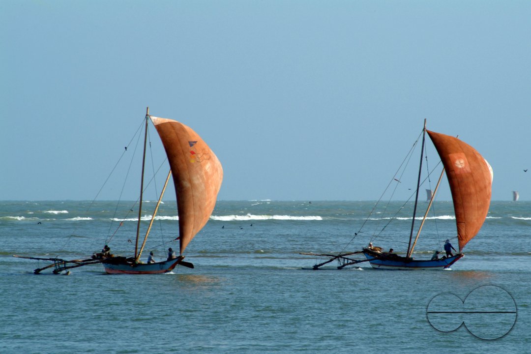 MWC002553