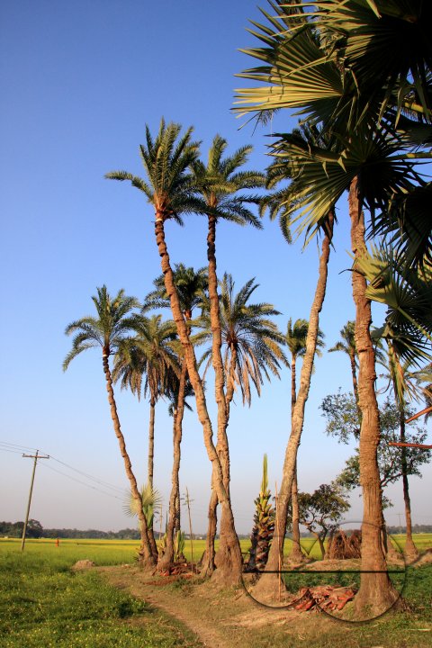 MWC020611