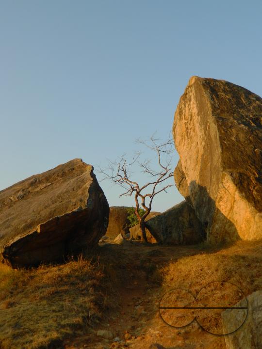 MWC052752