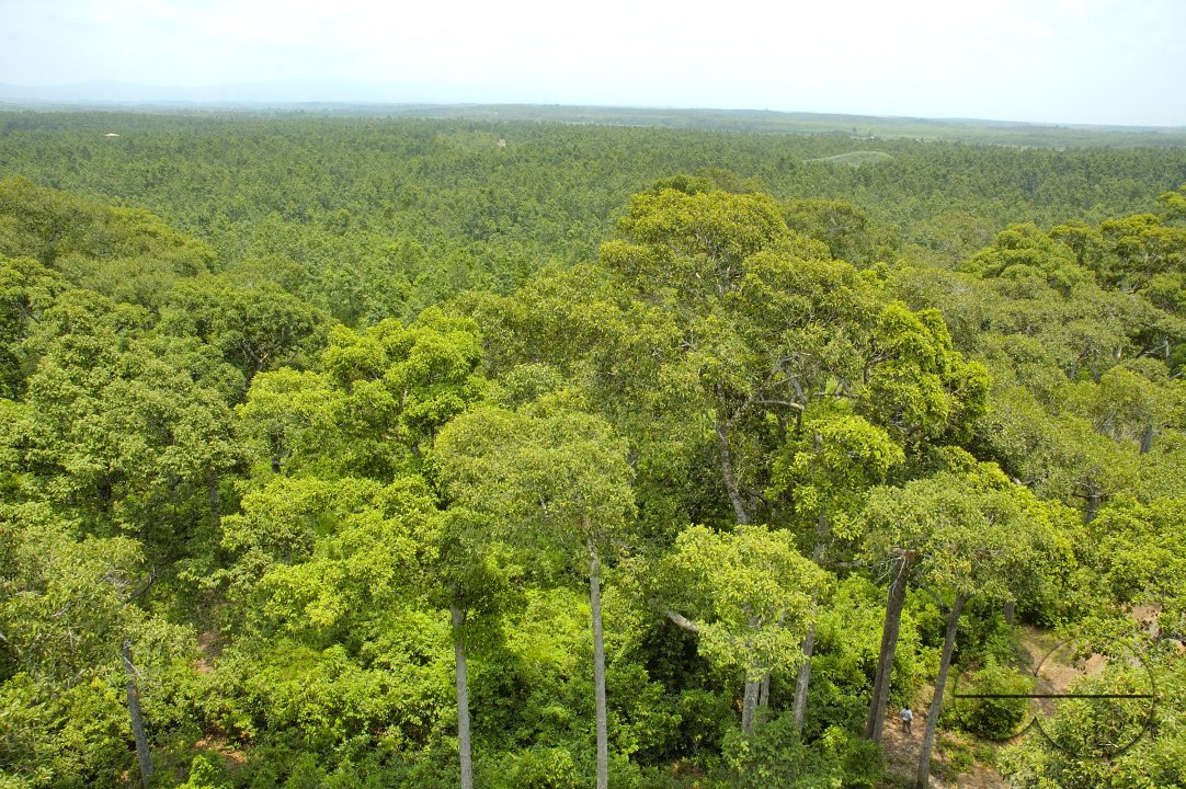 MWC004972