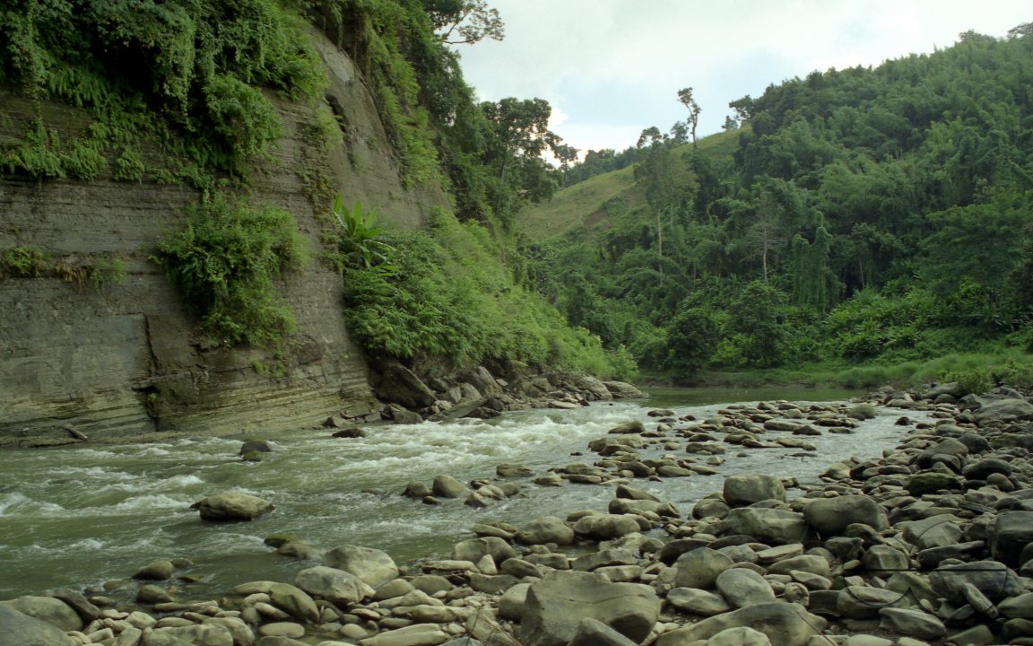 MWC003763