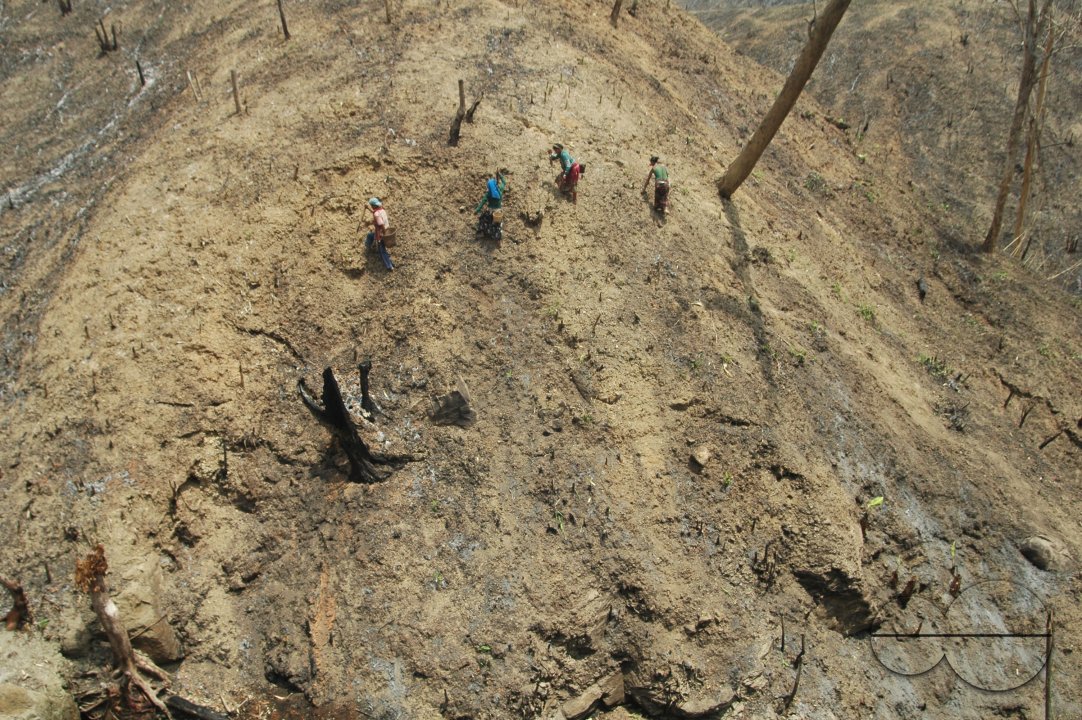 MWC003854