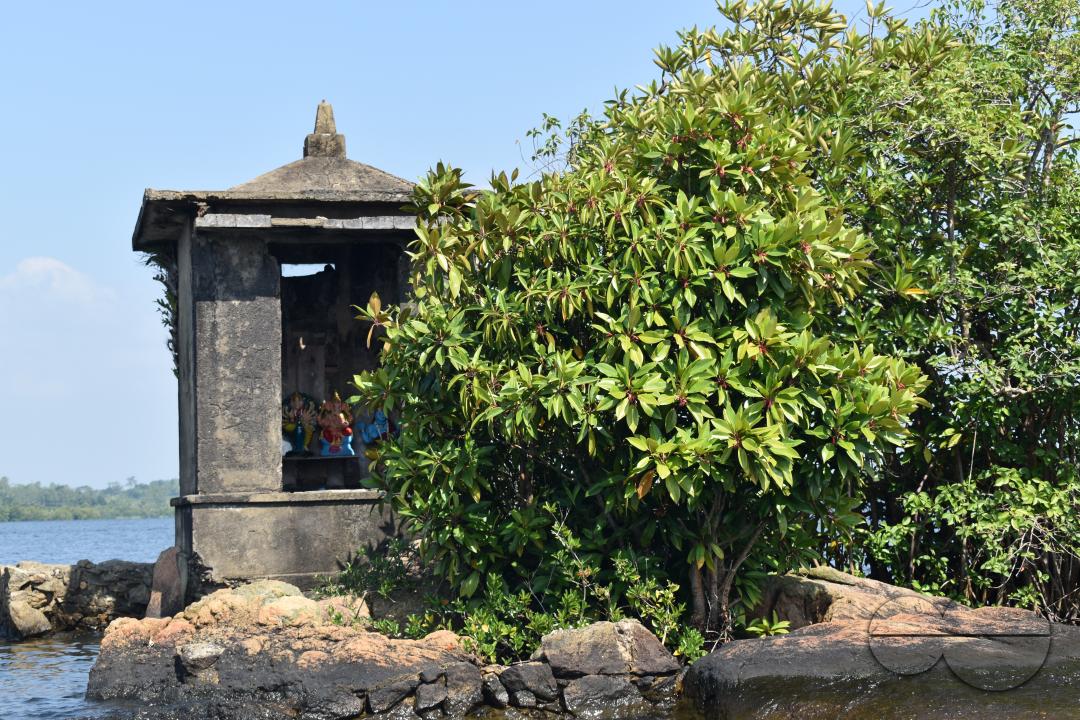 MWC051183