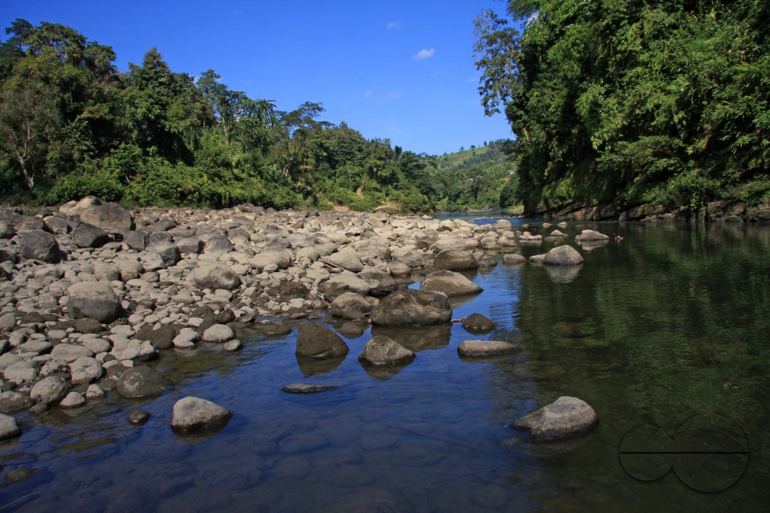 Lifestyle of Indigenous Tribal Peoples