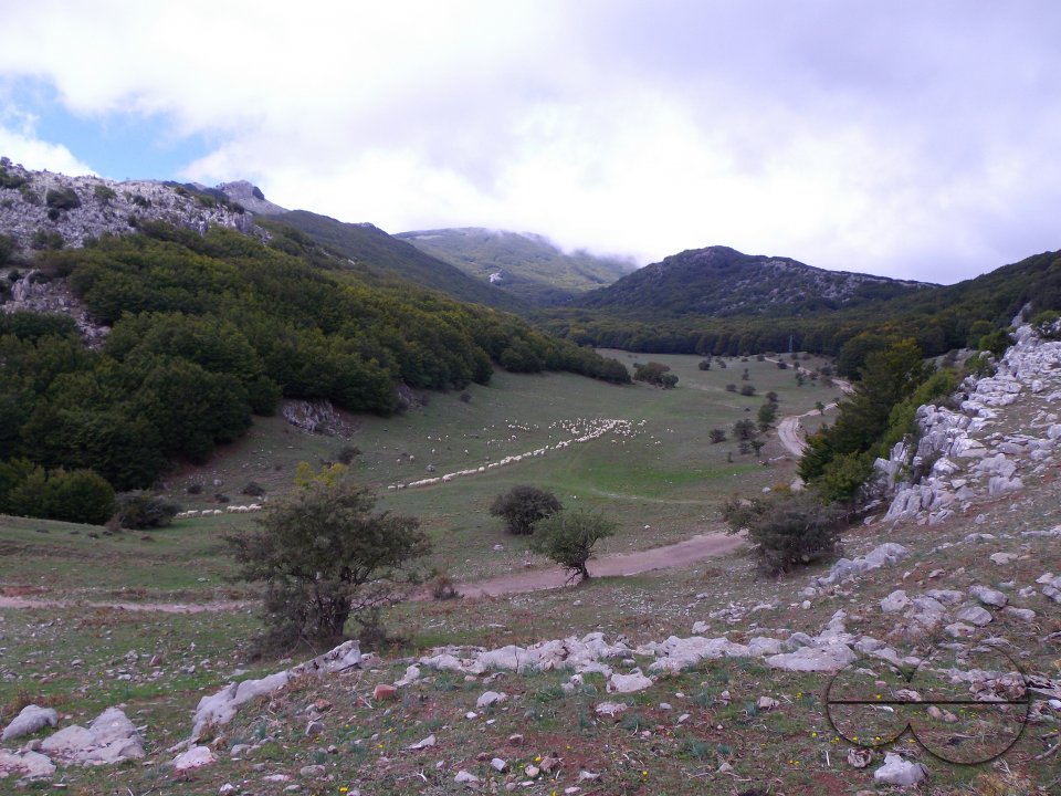 MWC036391