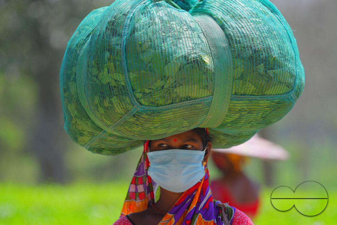 Tea garden workers during lockdown