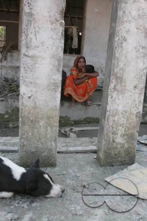 MWC008082
