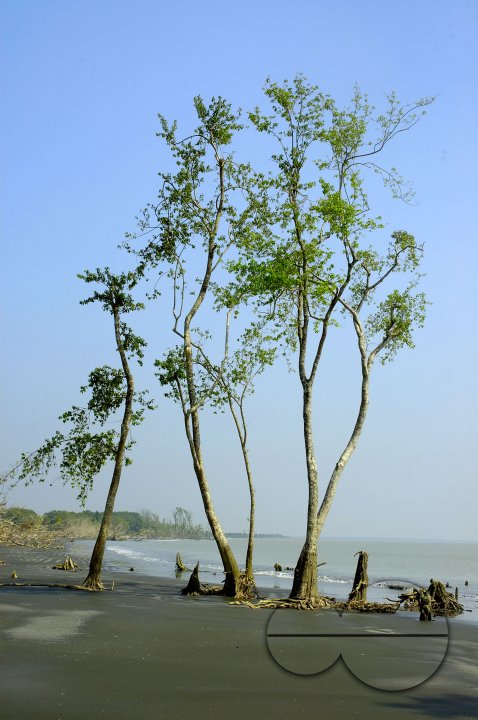 MWC003888