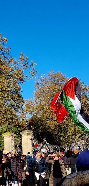 Over 300,000 Pro-Palestinians marched from Hyde Park to the USA embassy in London, on the afternoon of 11th November 2023, protesting against the war and urging an immediateÂ ceasefire