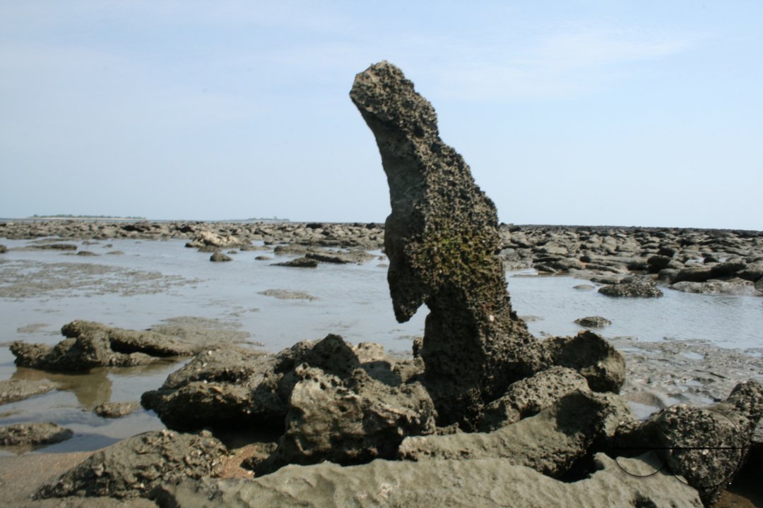 MWC004267