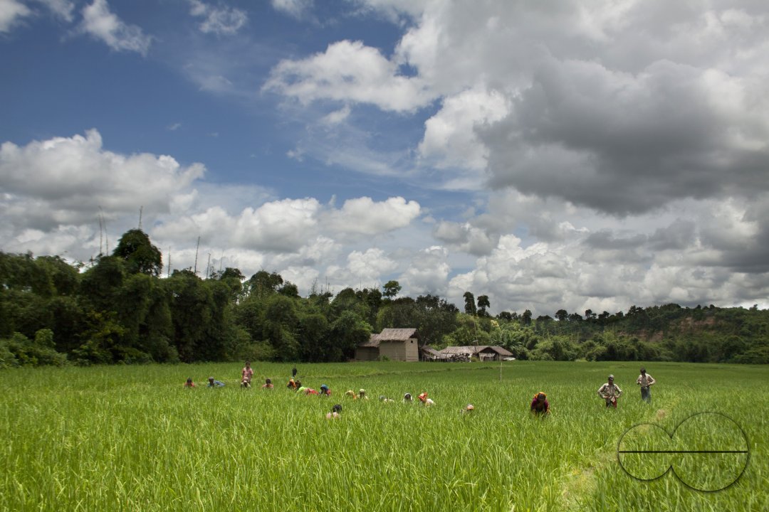 MWC020475