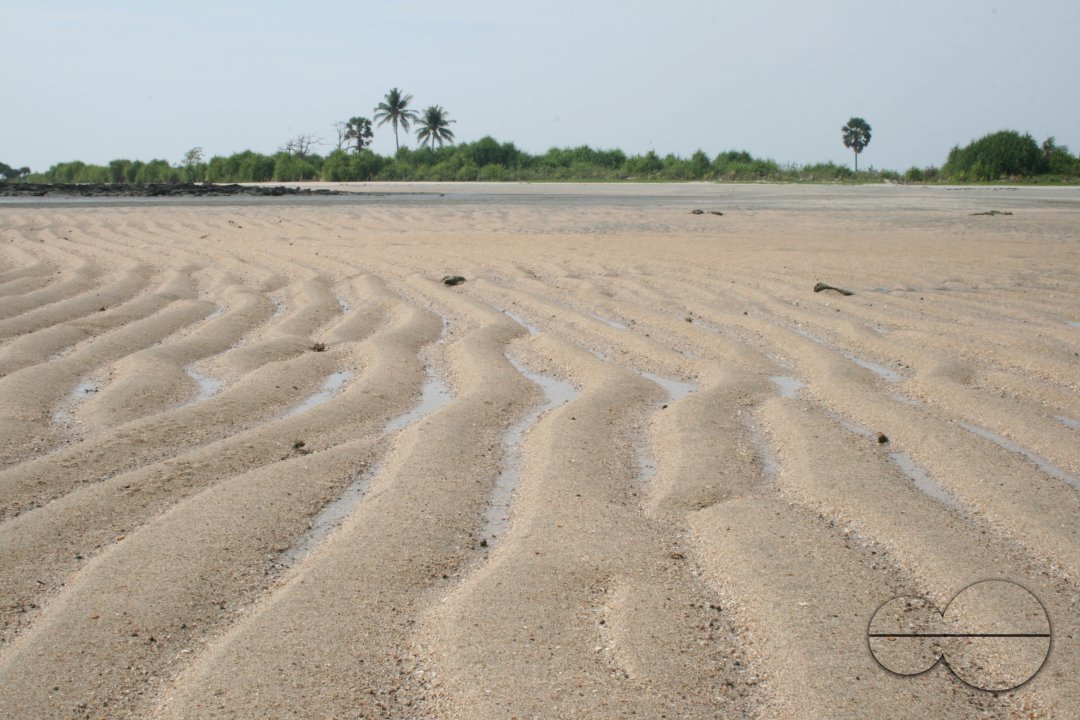 MWC004263