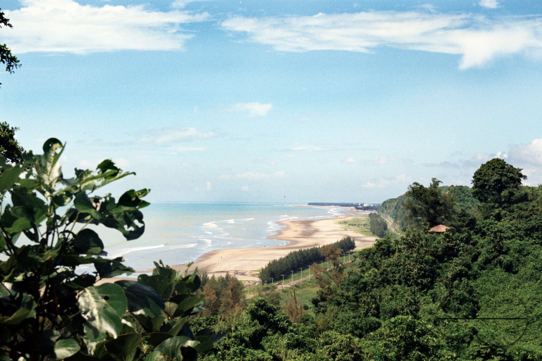 MWC004174