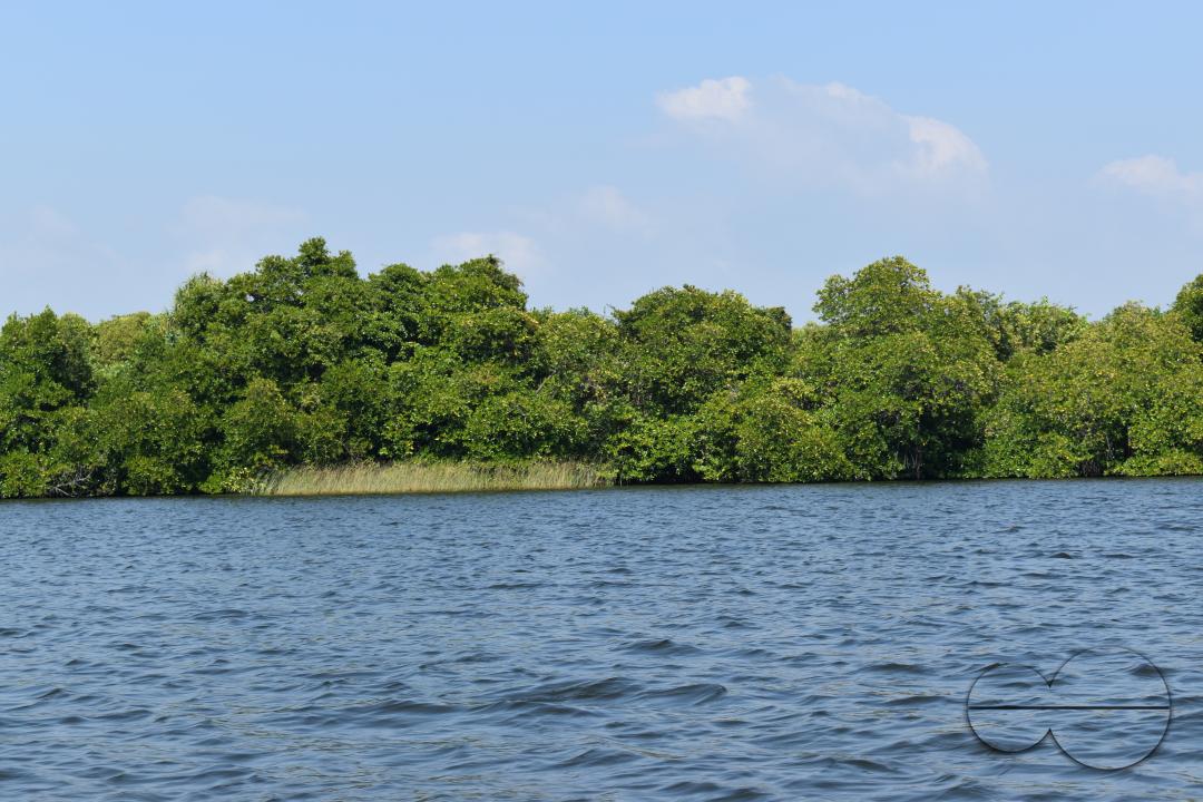 MWC044904