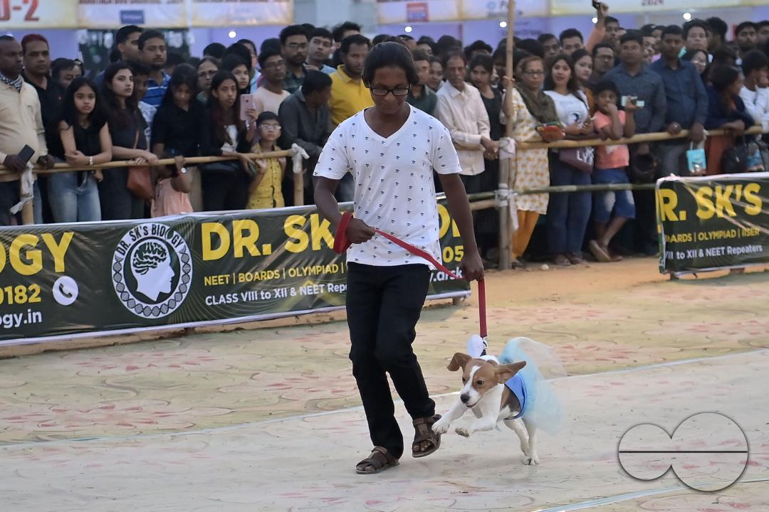 Dogs performing trainers during the Agartala Dog Carnival-2024, organized by Tripura Veterinary Doctors Association & Pawsome (A social organisation) at Agartala