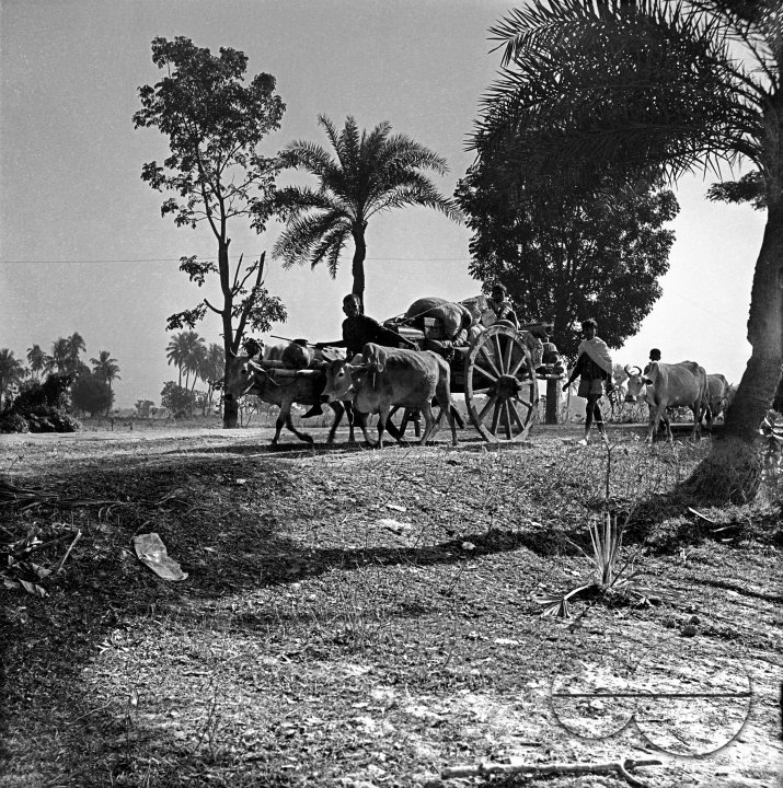 MWC008122