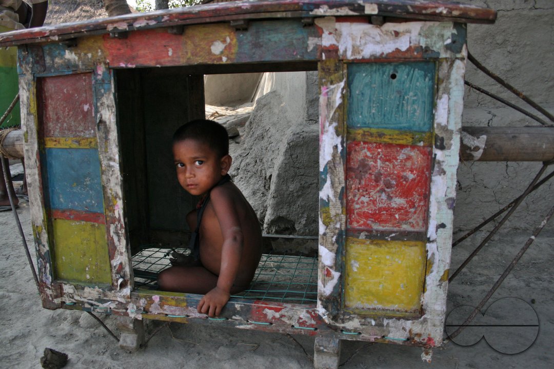 Palanquin_Bangladesh