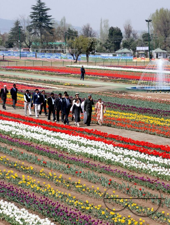 siraj bagh
