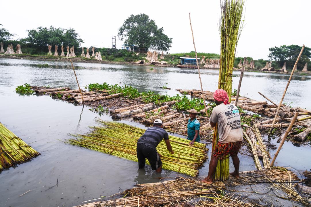 The Asia Pacific region, led by major jute producer India, dominates the Jute Bags Market