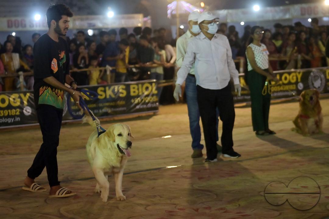 Dogs performing trainers during the Agartala Dog Carnival-2024, organized by Tripura Veterinary Doctors Association & Pawsome (A social organisation) at Agartala