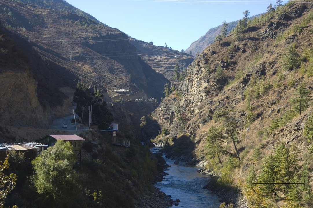 MWC004428